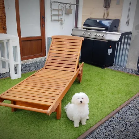 Mi Casita * Olmedo